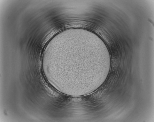 X0000097790890200803281721