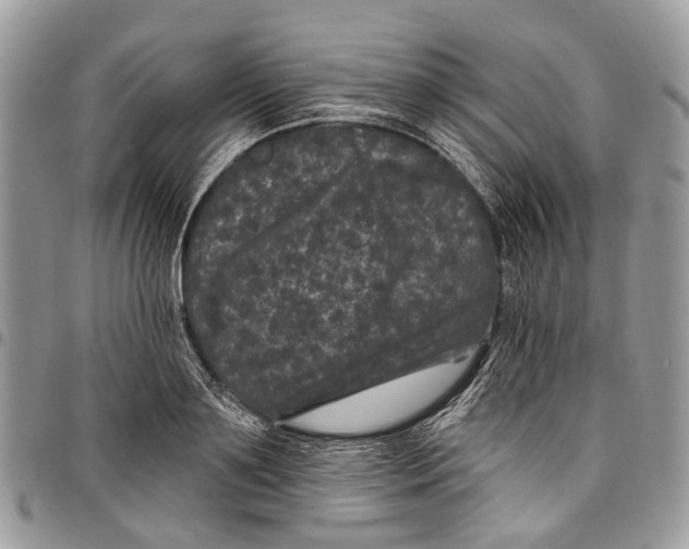 X0000097790891200803281721