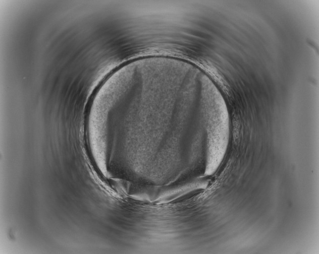 X0000097790896200803281721