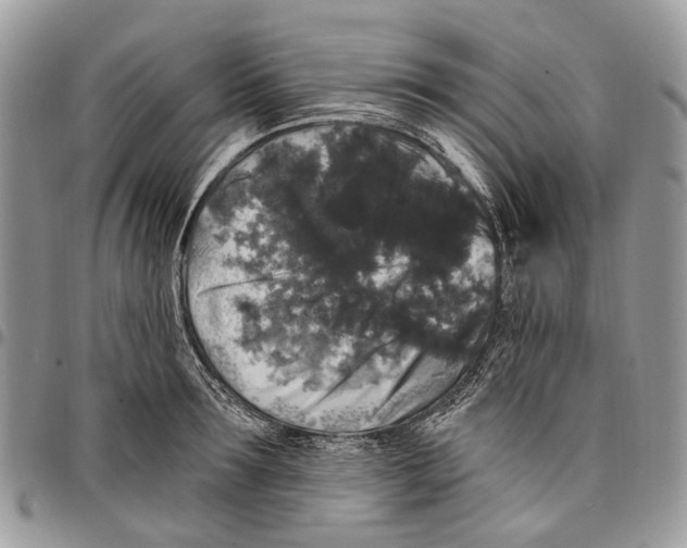 X0000097790899200803281721