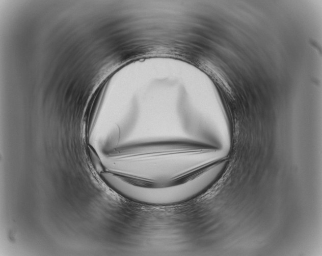 X0000097790900200803281721