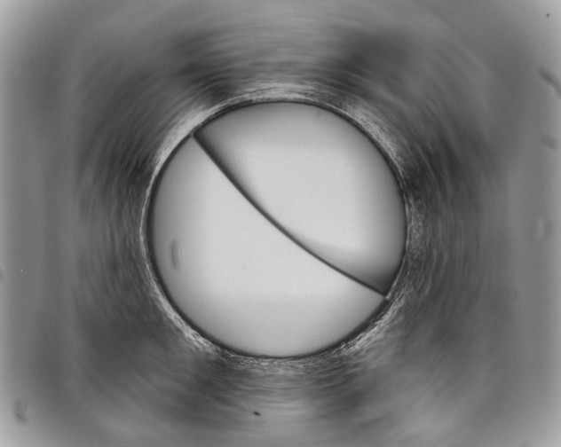 X0000097790901200803281720