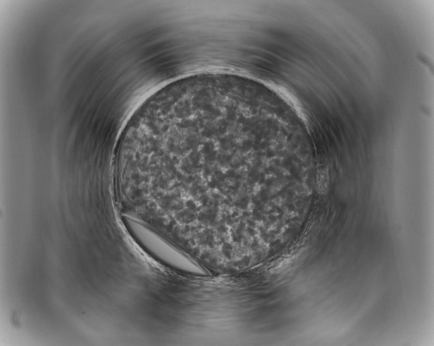 X0000097790903200803281720