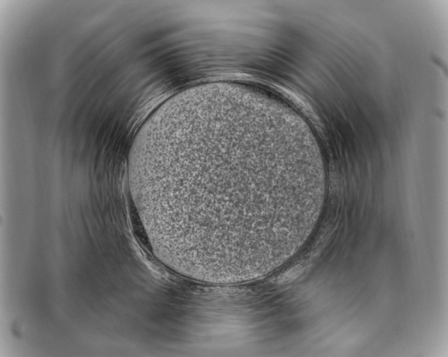 X0000097790905200803281720