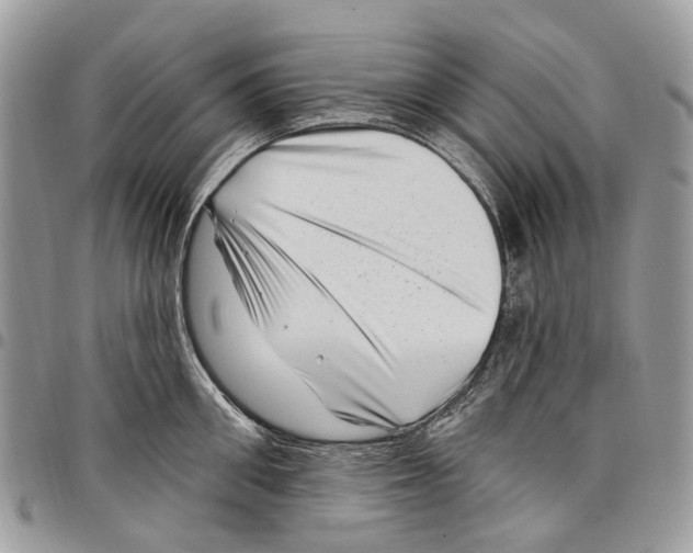 X0000097790906200803281720