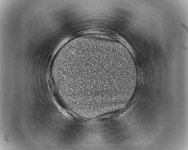 X0000097790909200803281720