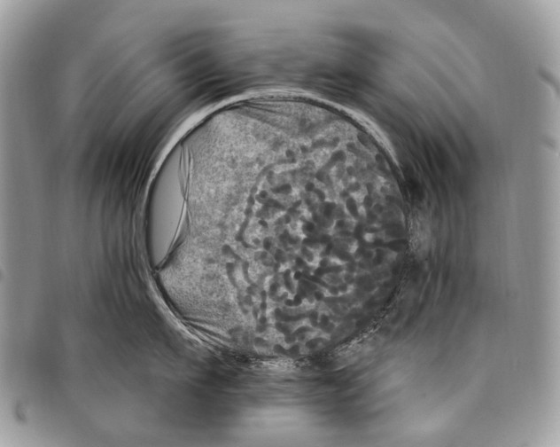 X0000097790911200803281720