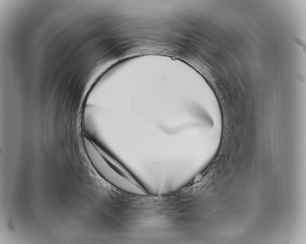 X0000097790912200803281720
