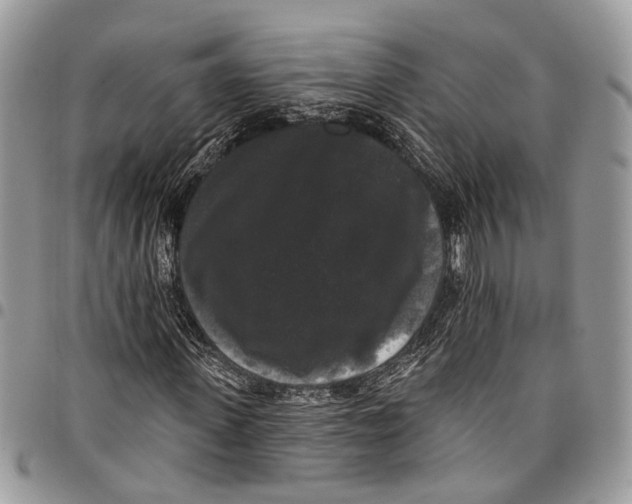 X0000097790915200803281720