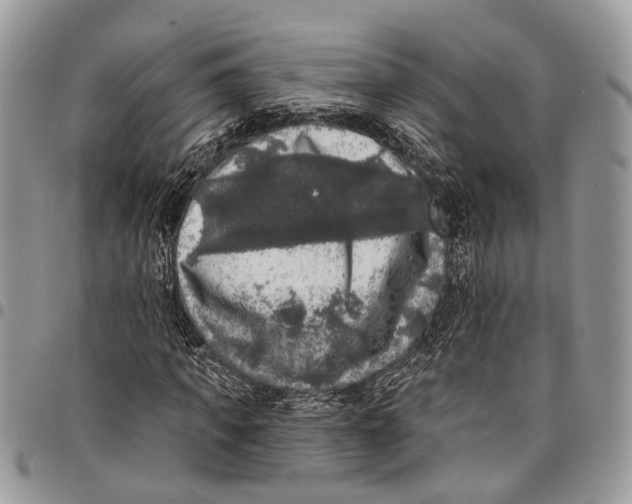 X0000097790917200803281720