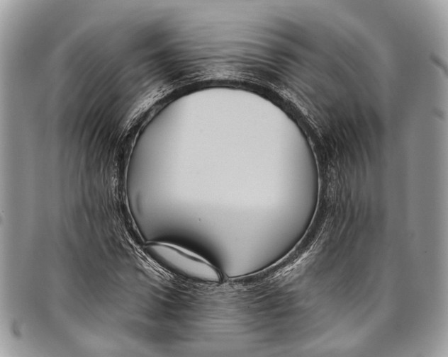 X0000097790922200803281720