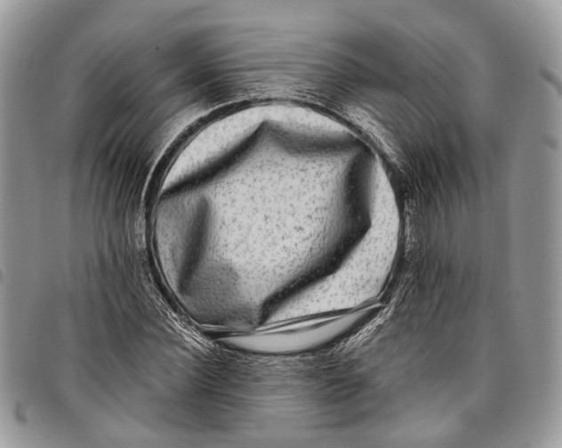 X0000097790924200803281720