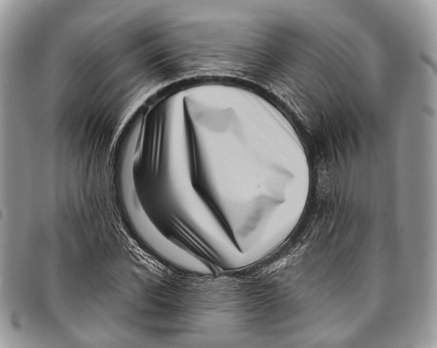 X0000097790926200803281720