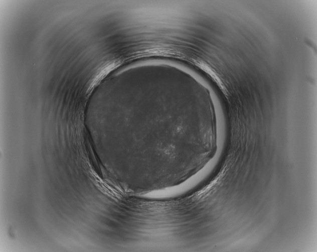 X0000097790930200803281720