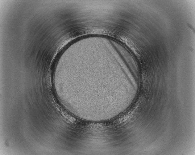 X0000097790931200803281720