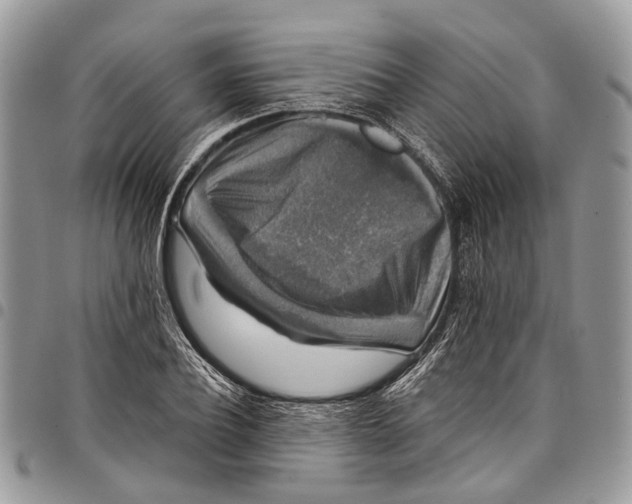 X0000097790932200803281720