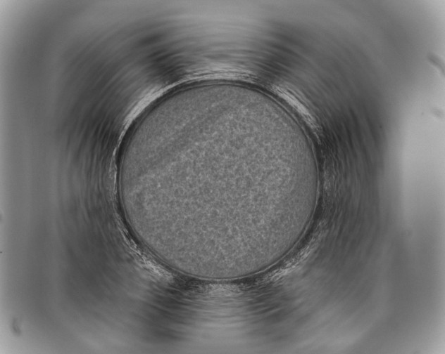 X0000097790933200803281720