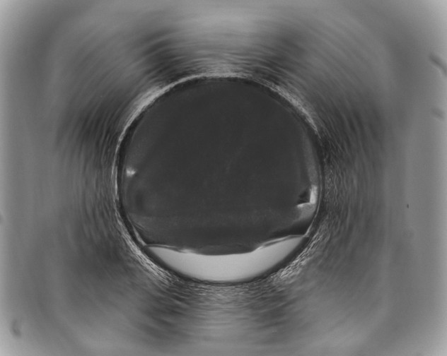 X0000097790935200803281720