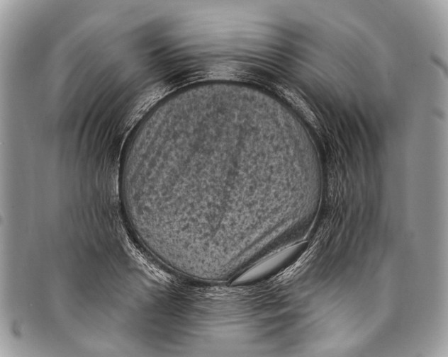 X0000097790938200803281720