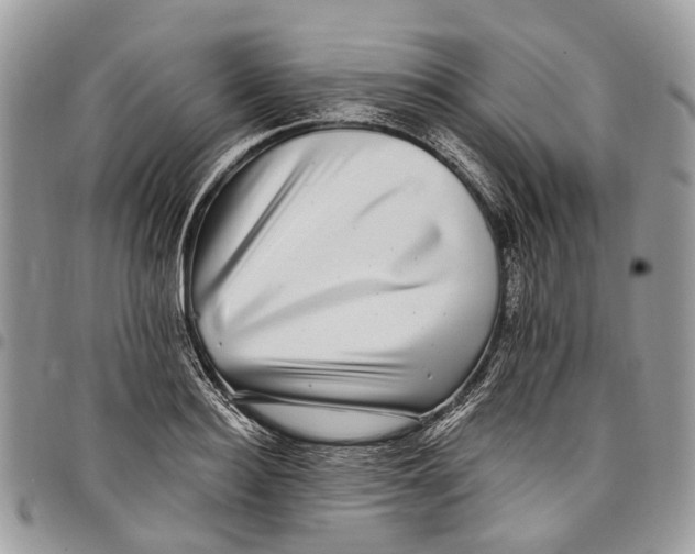 X0000097790940200803281720
