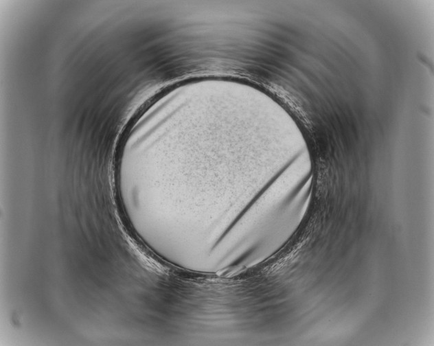 X0000097790942200803281720