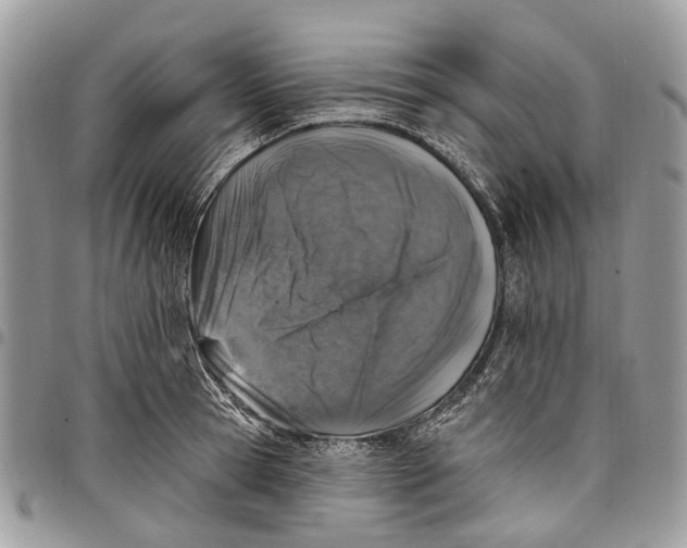 X0000097790945200803281720