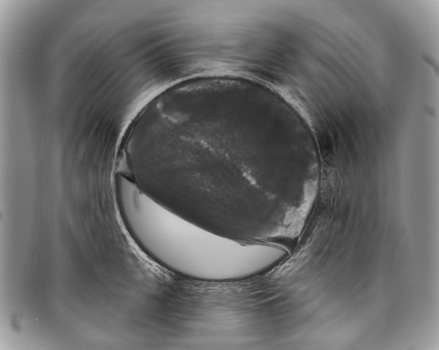 X0000097790951200803281720
