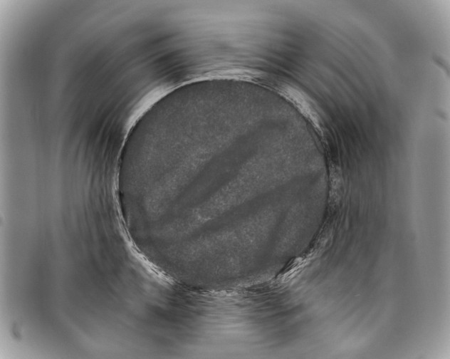 X0000097790952200803281720