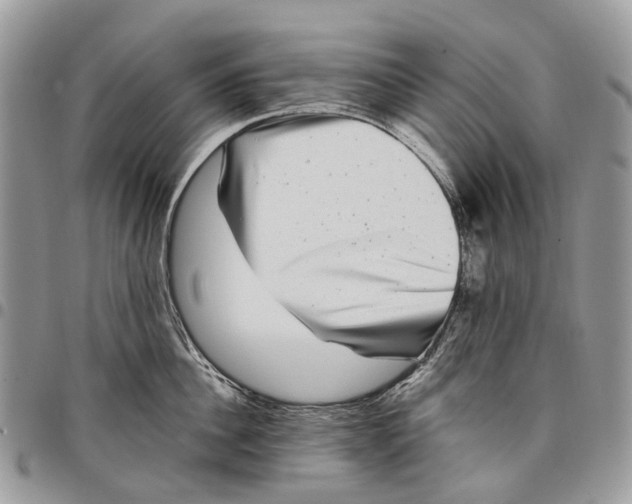 X0000097790956200803281720