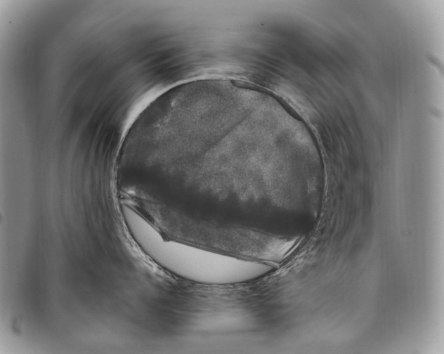 X0000097790960200803281720