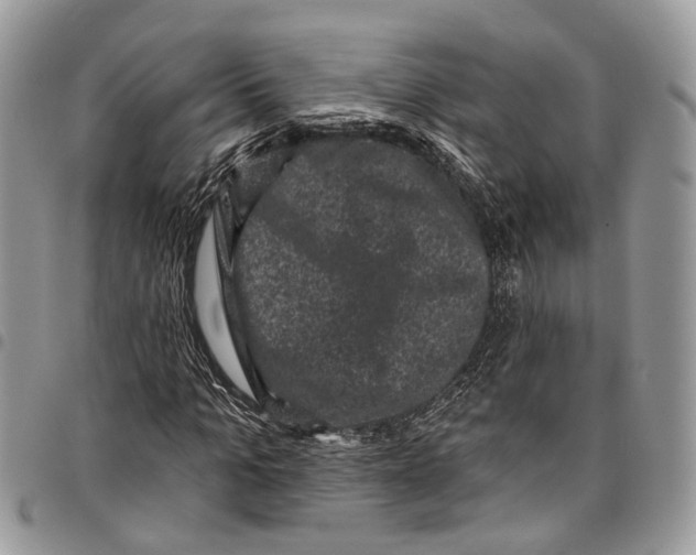 X0000097790965200803281720