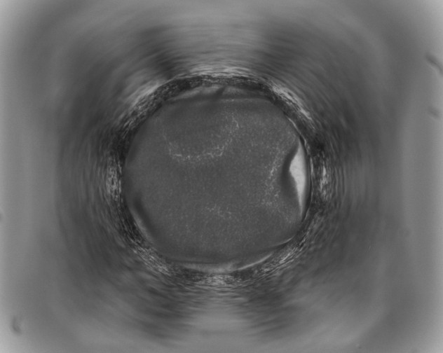 X0000097790966200803281720