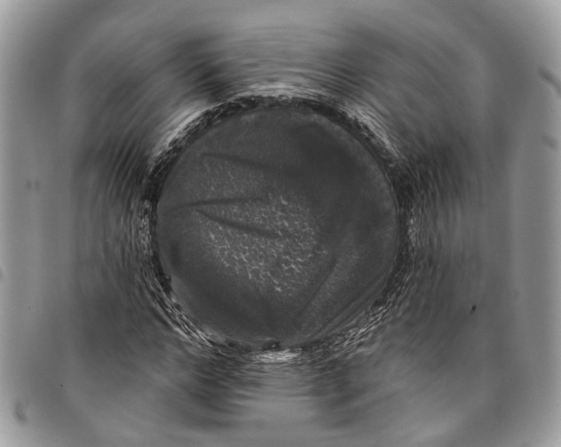 X0000097790968200803281720
