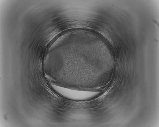 X0000097790969200803281720