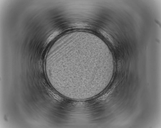X0000097790970200803281720