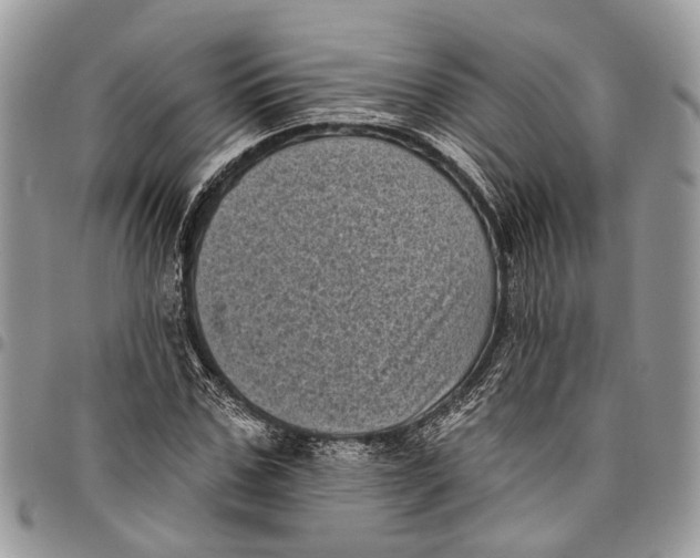 X0000097790971200803281720