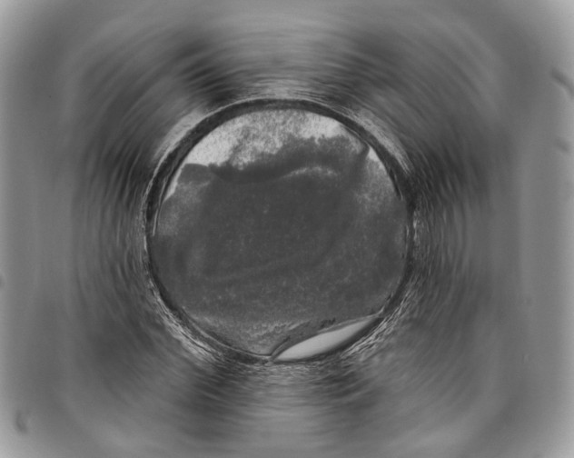 X0000097790972200803281720