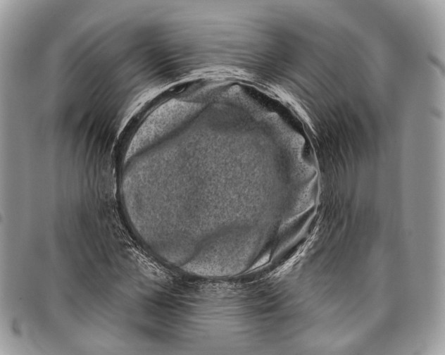X0000097790973200803281719
