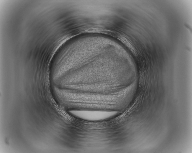 X0000097790976200803281719