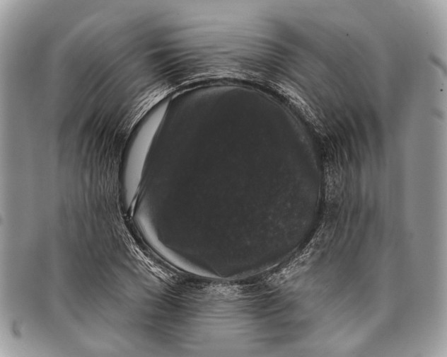 X0000097790977200803281719