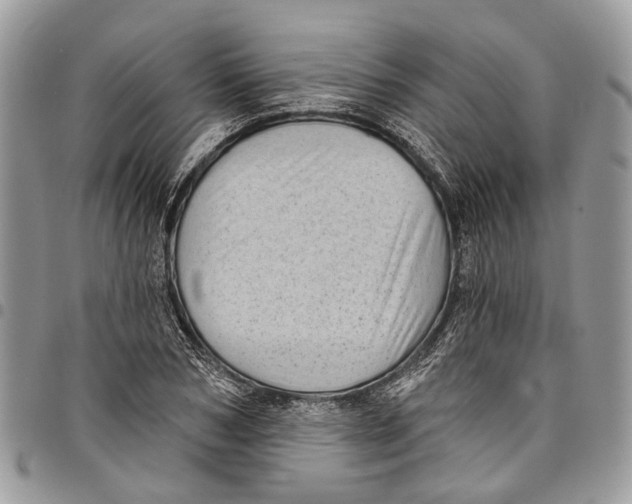 X0000097790978200803281719