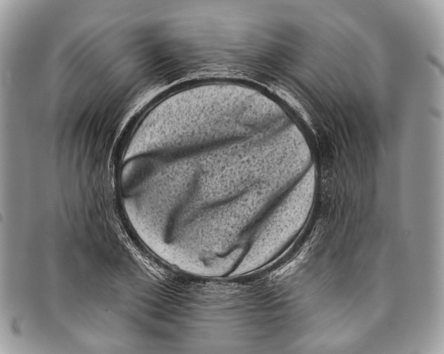 X0000097790981200803281719