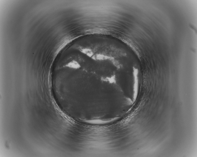 X0000097790983200803281719