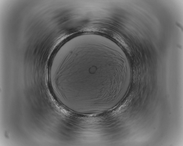 X0000097790984200803281719