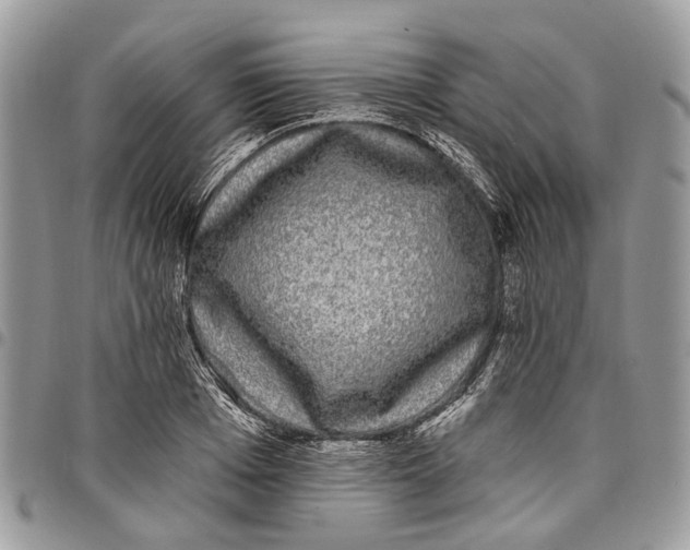 X0000097790985200803281719