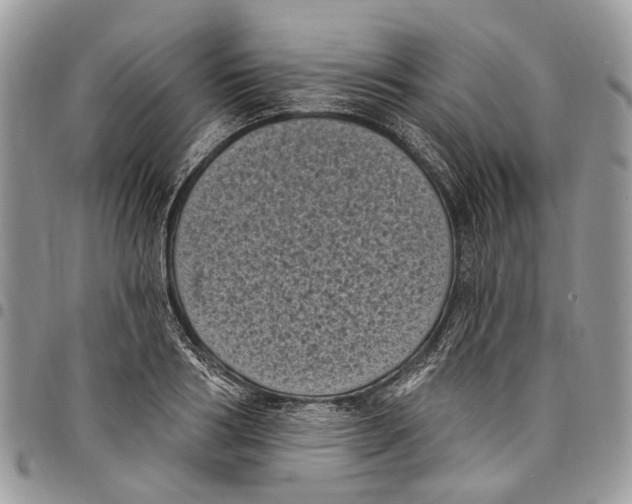 X0000097790986200803281719