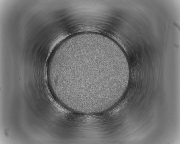 X0000097790987200803281719