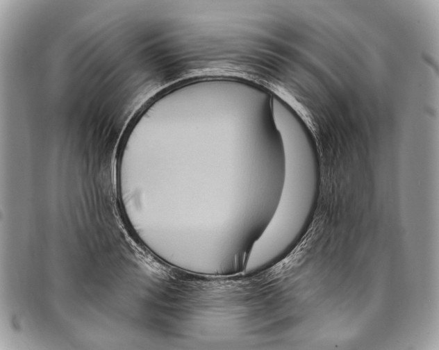 X0000097790988200803281719