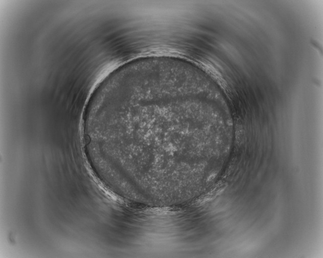 X0000097790990200803281719