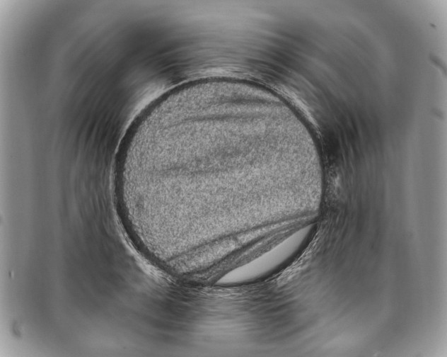 X0000097790991200803281719